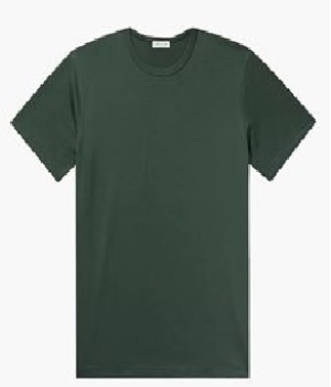 Solid Green Tee, sample style